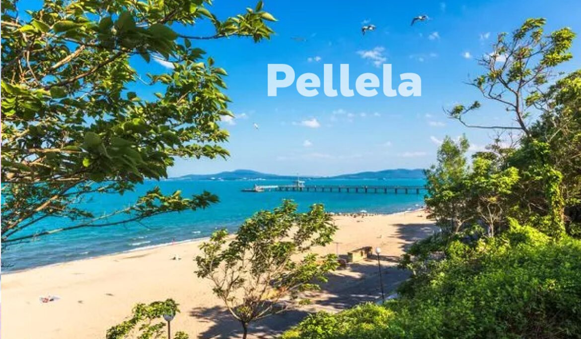 Pellela